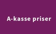 A-kasse Priser 2019